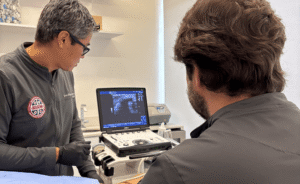 Regeneração em foco